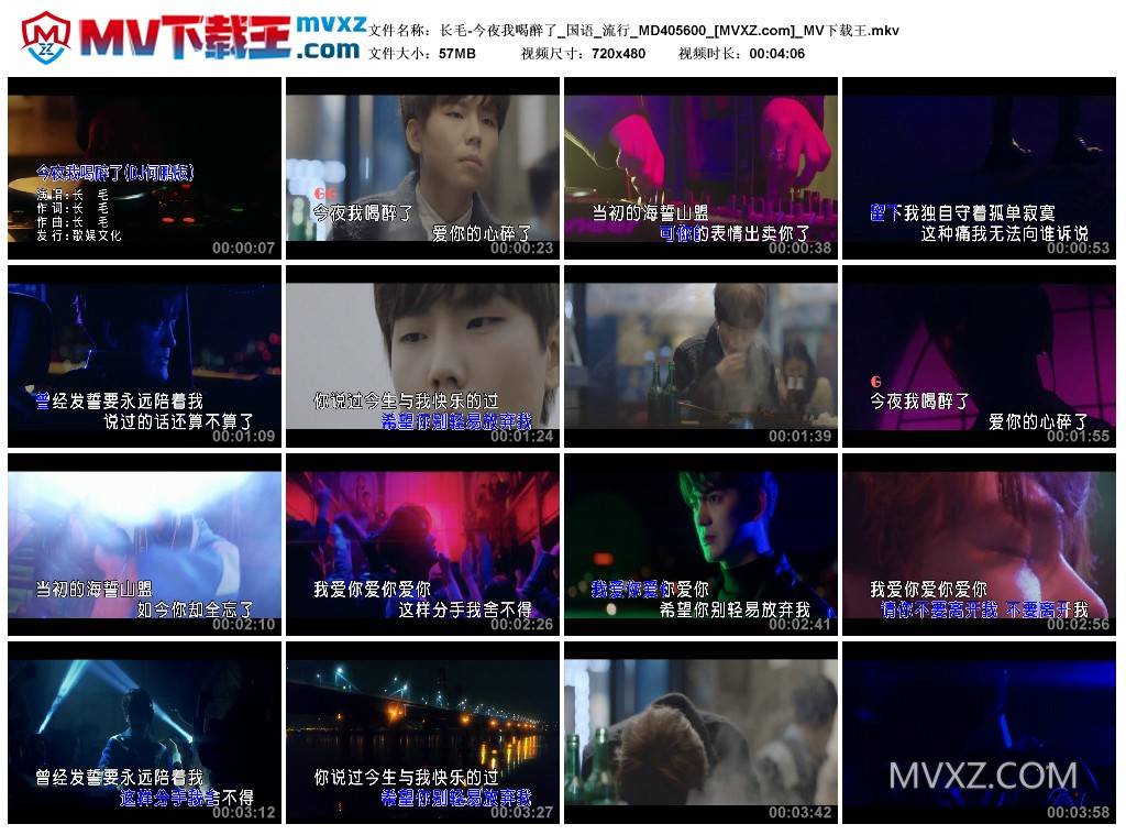 长毛-今夜我喝醉了_国语_流行_MD405600